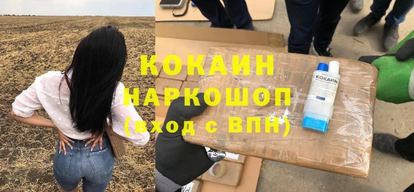 хмурый Алзамай