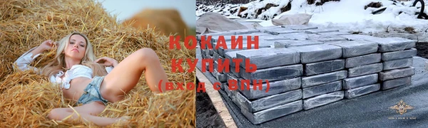 молекула духа Алексеевка
