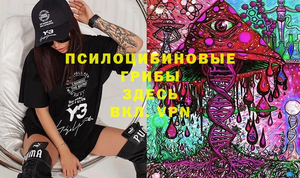 хмурый Алзамай