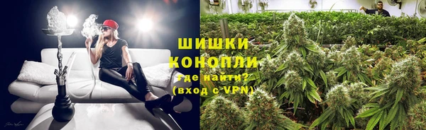 молекула духа Алексеевка