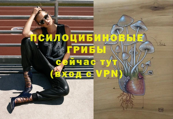 каннабис Алексин