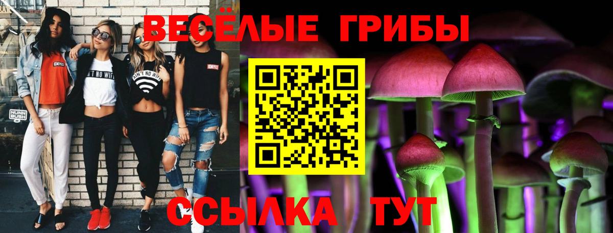 сколько стоит  Вход с VPN  Морозовск  Псилоцибиновые грибы MAGIC MUSHROOMS  Галлюциногенные грибы ЛСД 