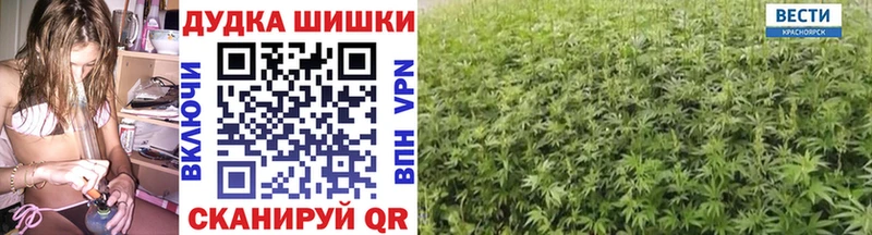 Бошки марихуана планчик  где продают наркотики  Морозовск 